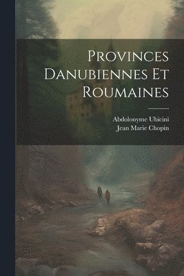 bokomslag Provinces Danubiennes Et Roumaines