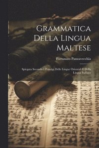 bokomslag Grammatica Della Lingua Maltese