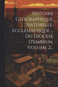 bokomslag Histoire Geographique, Naturelle, Ecclesiastique ... Du Diocese D'embrun, Volume 2...