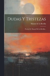 bokomslag Dudas Y Tristezas