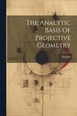 bokomslag The Analytic Basis Of Projective Geometry