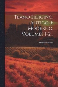 bokomslag Teano Sidicino, Antico, E Moderno, Volumes 1-2...