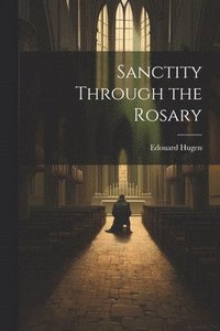 bokomslag Sanctity Through the Rosary