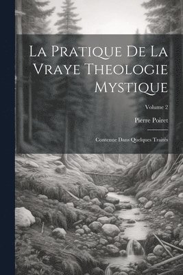 bokomslag Pratique De La Vraye Theologie Mystique