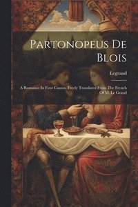 bokomslag Partonopeus De Blois