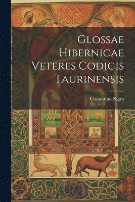 bokomslag Glossae Hibernicae Veteres Codicis Taurinensis