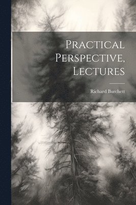 Practical Perspective, Lectures 1