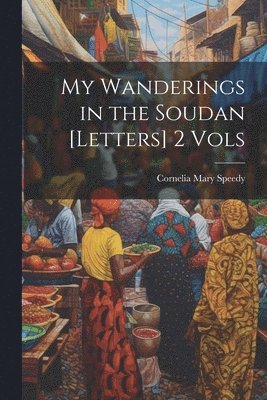 bokomslag My Wanderings in the Soudan [Letters] 2 Vols