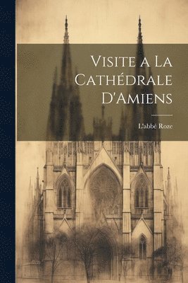 Visite a La Cathédrale D'Amiens 1