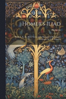 bokomslag Homer's Iliad