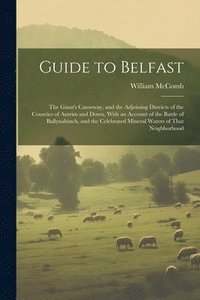 bokomslag Guide to Belfast