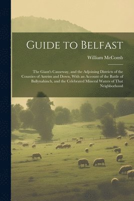 Guide to Belfast 1