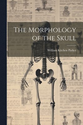 Morphology of the Skull