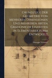 bokomslag Grundzge Der Geometrie Von Mehreren Dimensionen Und Mehreren Arten Gradliniger Einheiten in Elementarer Form Entwickelt