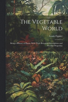 Vegetable World 1