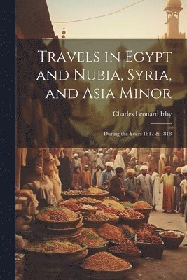 bokomslag Travels in Egypt and Nubia, Syria, and Asia Minor; During the Years 1817 & 1818