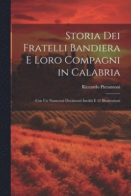 bokomslag Storia Dei Fratelli Bandiera E Loro Compagni in Calabria