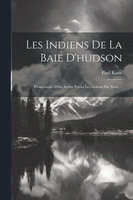 Paul Kane - Les Indiens De La Baie D'hudson, Häftad