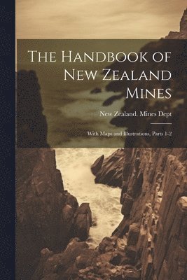 bokomslag The Handbook of New Zealand Mines