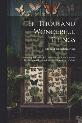 bokomslag Ten Thousand Wonderful Things