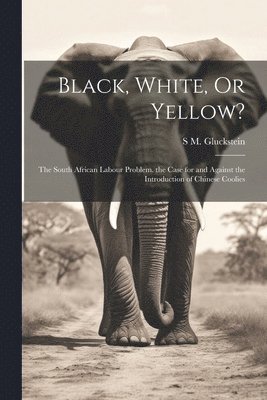 Black, White, Or Yellow? 1