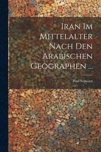 bokomslag Iran Im Mittelalter Nach Den Arabischen Geographen ...