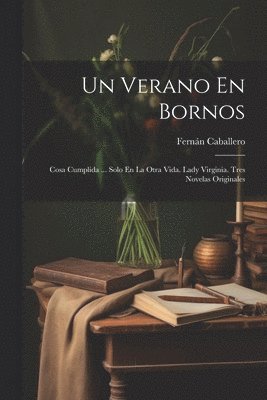 bokomslag Un Verano En Bornos