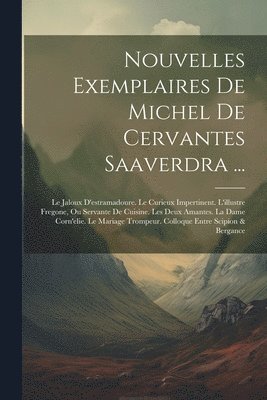 bokomslag Nouvelles Exemplaires De Michel De Cervantes Saaverdra ...