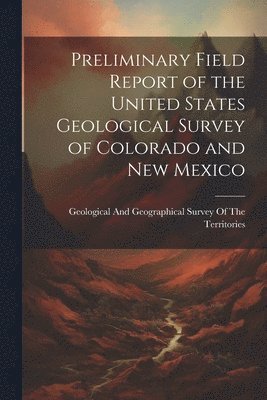 Geological and Geographical Survey of - Preliminary Field Report of the United States Geological Survey of Colorado and New Mexico, Häftad