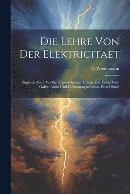 bokomslag Die Lehre Von Der Elektricitaet