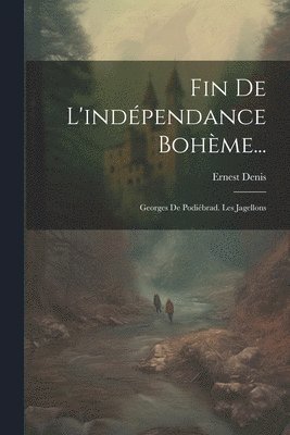 bokomslag Fin De L'indpendance Bohme...