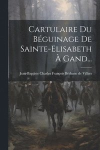 bokomslag Cartulaire Du Bguinage De Sainte-elisabeth  Gand...