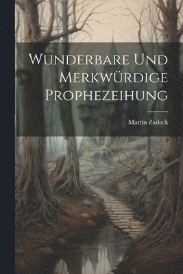 bokomslag Wunderbare Und Merkwrdige Prophezeihung