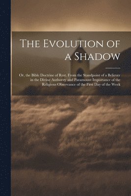 bokomslag The Evolution of a Shadow