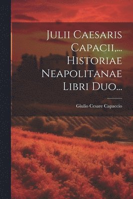 Giulio Cesare Capaccio - Julii Caesaris Capacii, ... Historiae Neapolitanae Libri Duo..., Häftad