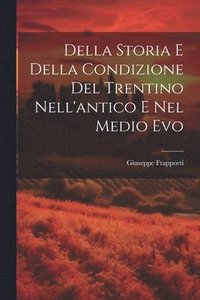 bokomslag Della Storia E Della Condizione Del Trentino Nell'antico E Nel Medio Evo