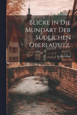 bokomslag Blicke in die Mundart der sdlichen Oberlausitz.