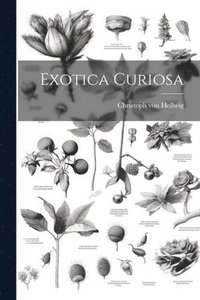 bokomslag Exotica Curiosa