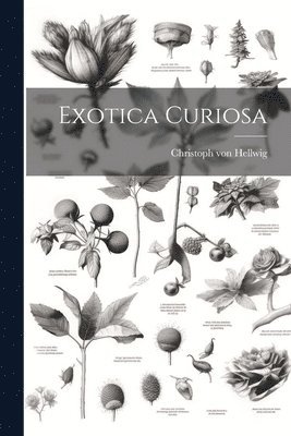 Exotica Curiosa 1