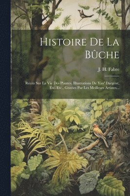 bokomslag Histoire De La Bûche
