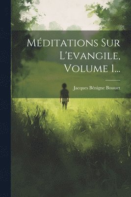 Mditations Sur L'evangile, Volume 1... 1