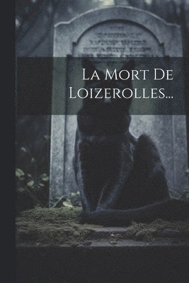bokomslag Mort De Loizerolles...