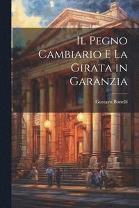 bokomslag Il Pegno Cambiario E La Girata in Garanzia