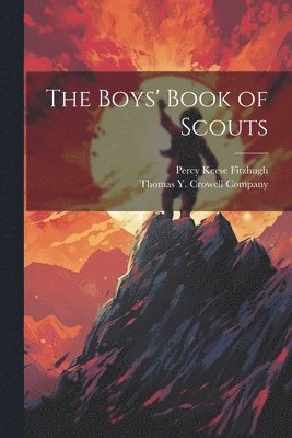 bokomslag The Boys' Book of Scouts