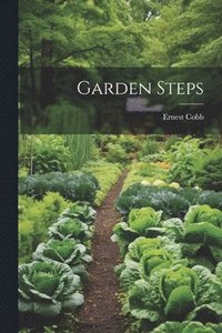bokomslag Garden Steps