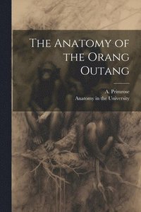 bokomslag The Anatomy of the Orang Outang