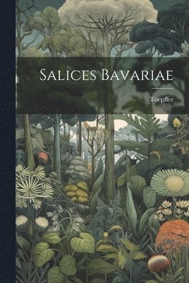 bokomslag Salices Bavariae