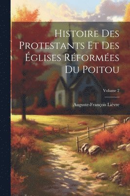 Histoire Des Protestants Et Des Églises Réformées Du Poitou; Volume 2
