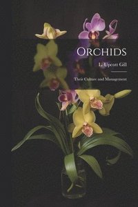 bokomslag Orchids