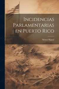 bokomslag Incidencias parlamentarias en Puerto Rico